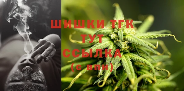 дмт Карпинск