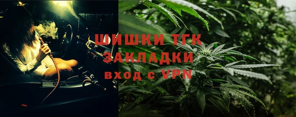 a pvp Аркадак