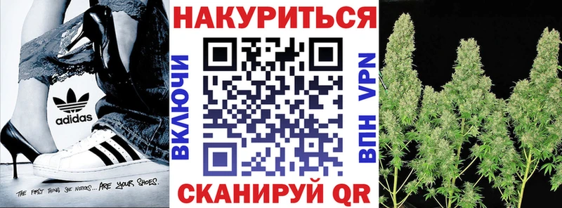 Конопля семена  Сланцы 